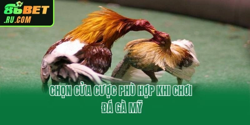 Khám Phá Đá Gà Mỹ Tại 86bet Và Những Mẹo Hay Từ Chuyên Gia