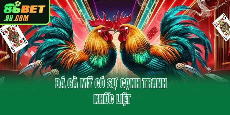 Khám Phá Đá Gà Mỹ Tại 86bet Và Những Mẹo Hay Từ Chuyên Gia