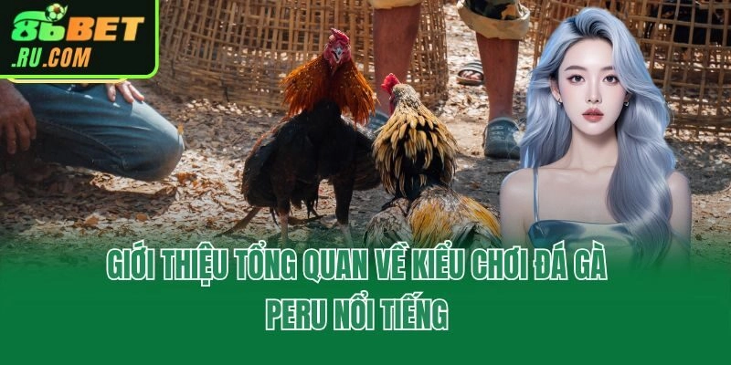 Đá Gà Peru - Hình Thức Giải Trí Cá Cược Cực Hot Tại 86bet